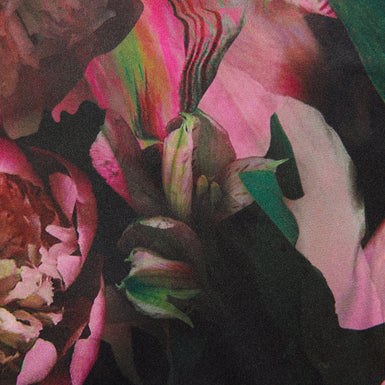 Women's Asthaa-Printed Woven Front Short Sleeve Top Black