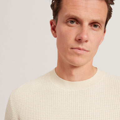 CLACX: LS Waffle Stitch Crew Neck